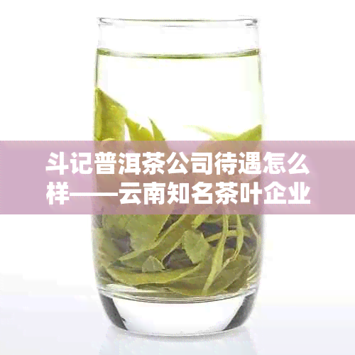 斗记普洱茶公司待遇怎么样——云南知名茶叶企业简介