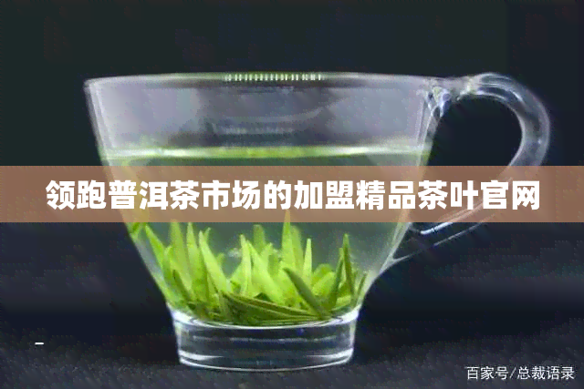 领跑普洱茶市场的加盟精品茶叶官网