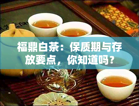 福鼎白茶：保质期与存放要点，你知道吗？