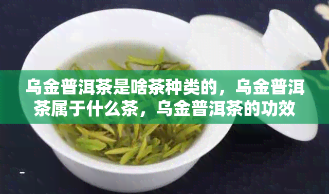 乌金普洱茶是啥茶种类的，乌金普洱茶属于什么茶，乌金普洱茶的功效与作用