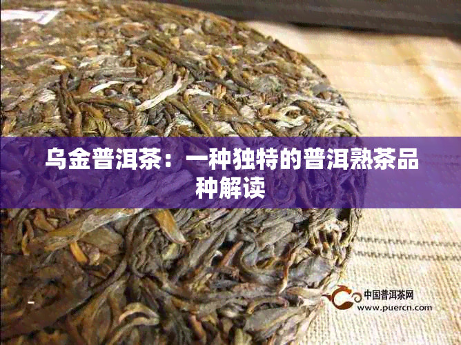 乌金普洱茶：一种独特的普洱熟茶品种解读