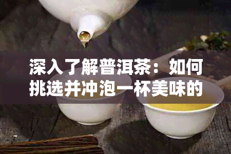 深入了解普洱茶：如何挑选并冲泡一杯美味的熟茶