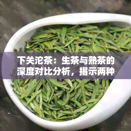 下关沱茶：生茶与熟茶的深度对比分析，揭示两种茶叶的独特魅力