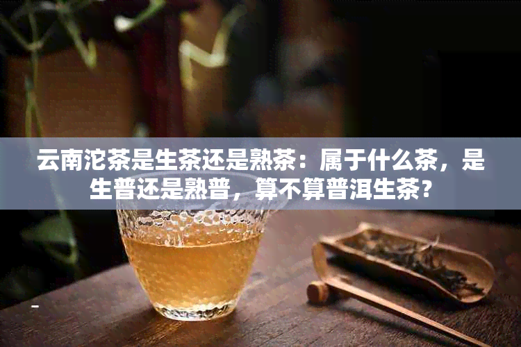 云南沱茶是生茶还是熟茶：属于什么茶，是生普还是熟普，算不算普洱生茶？