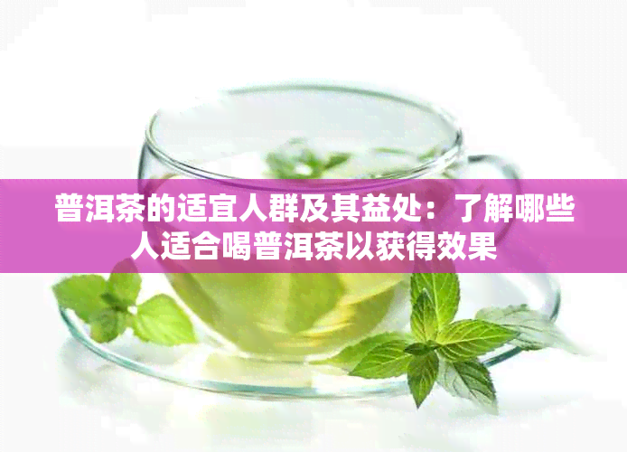 普洱茶的适宜人群及其益处：了解哪些人适合喝普洱茶以获得效果