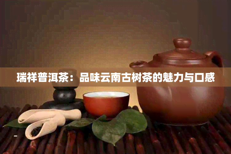 瑞祥普洱茶：品味云南古树茶的魅力与口感