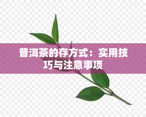 普洱茶的存方式：实用技巧与注意事项