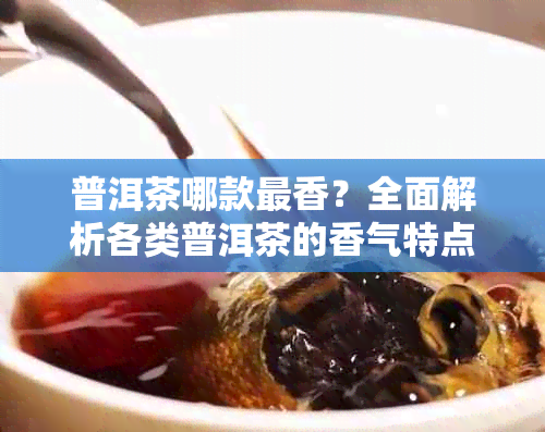 普洱茶哪款最香？全面解析各类普洱茶的香气特点与选购指南