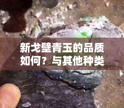 新戈壁青玉的品质如何？与其他种类的玉石相比有何优劣势？