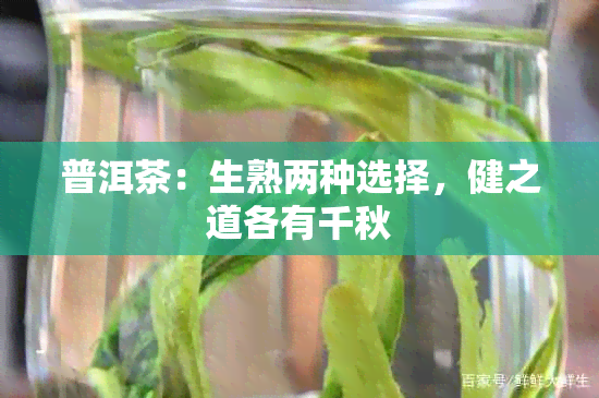 普洱茶：生熟两种选择，健之道各有千秋