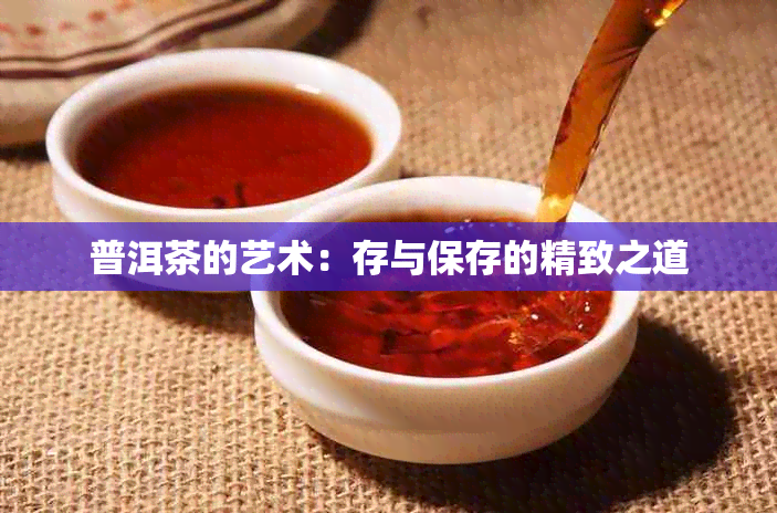 普洱茶的艺术：存与保存的精致之道