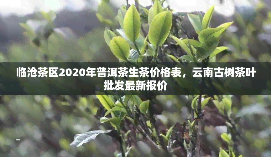 临沧茶区2020年普洱茶生茶价格表，云南古树茶叶批发最新报价