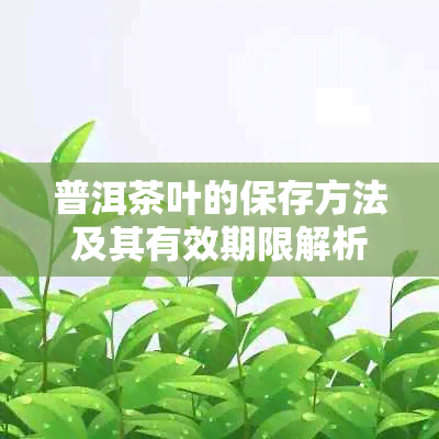 普洱茶叶的保存方法及其有效期限解析：了解何时饮用！