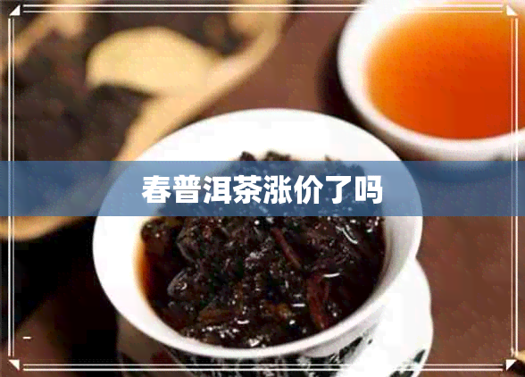 春普洱茶涨价了吗