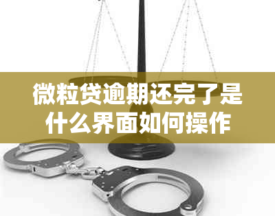 微粒贷逾期还完了是什么界面如何操作？请详细步骤解析