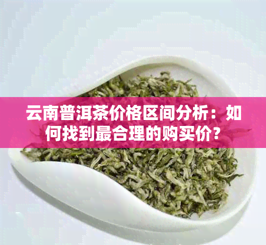 云南普洱茶价格区间分析：如何找到最合理的购买价？