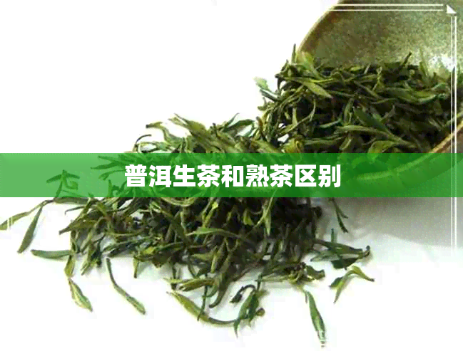 普洱生茶和熟茶区别