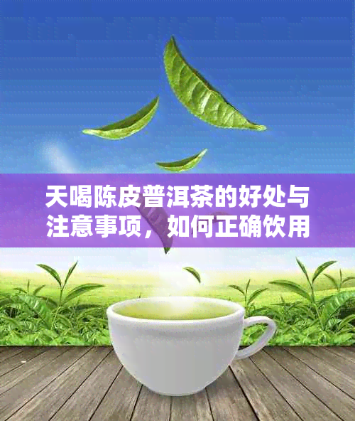 天喝陈皮普洱茶的好处与注意事项，如何正确饮用以避免不适？