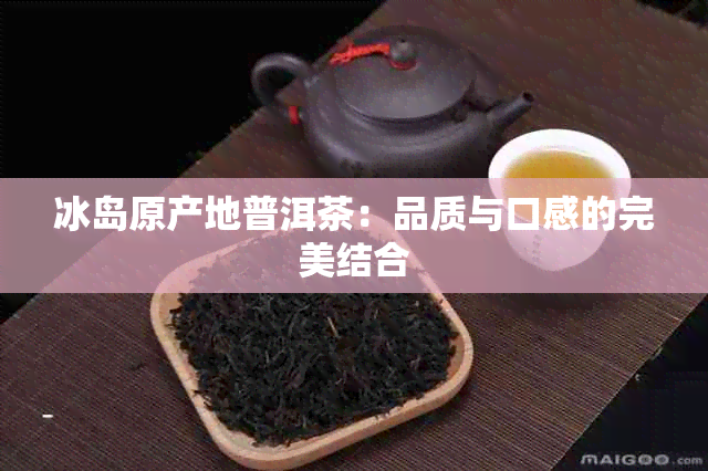 冰岛原产地普洱茶：品质与口感的完美结合