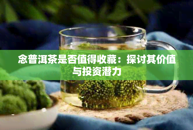 念普洱茶是否值得收藏：探讨其价值与投资潜力