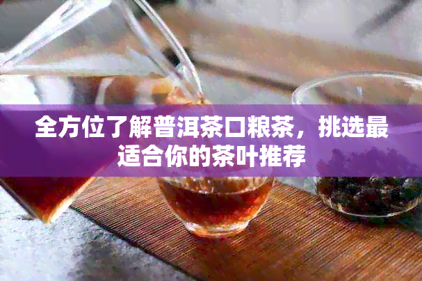 全方位了解普洱茶口粮茶，挑选最适合你的茶叶推荐