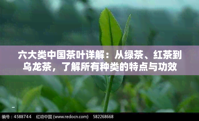 六大类中国茶叶详解：从绿茶、红茶到乌龙茶，了解所有种类的特点与功效