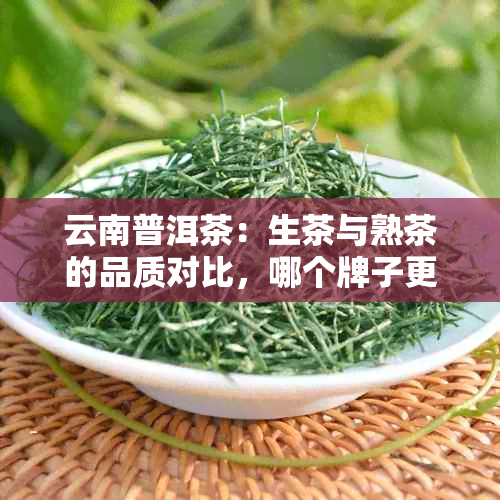 云南普洱茶：生茶与熟茶的品质对比，哪个牌子更值得推荐？