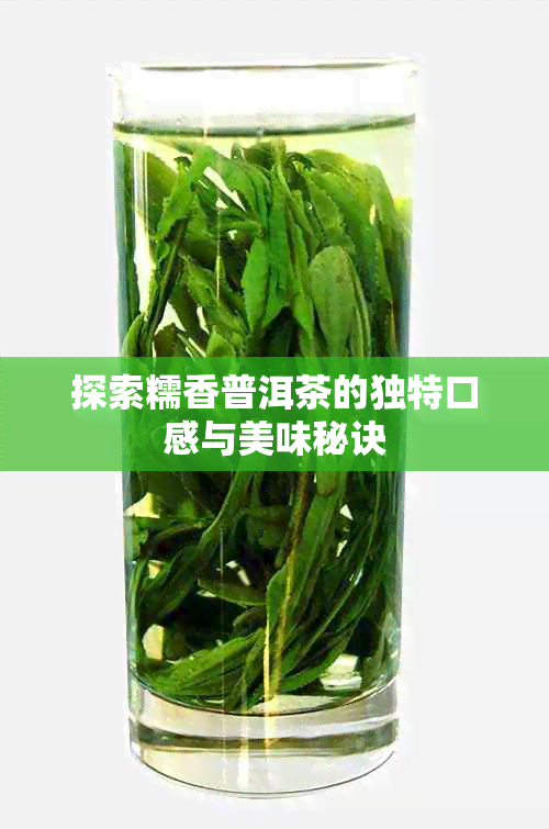 探索糯香普洱茶的独特口感与美味秘诀