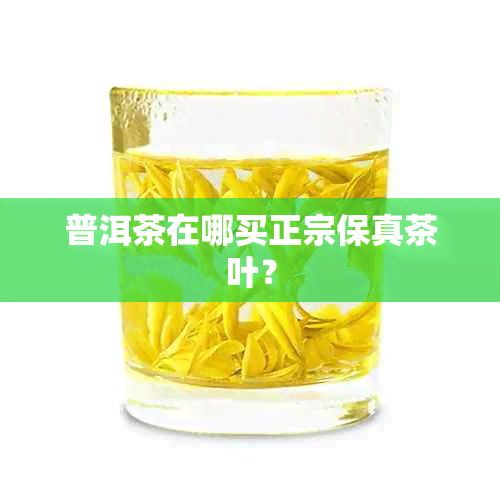 普洱茶在哪买正宗保真茶叶？