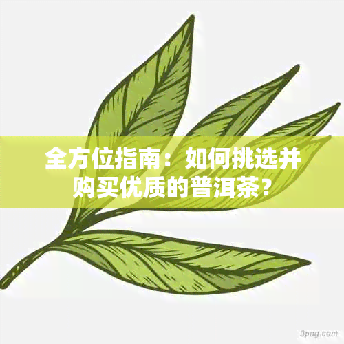 全方位指南：如何挑选并购买优质的普洱茶？