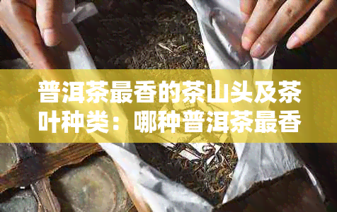 普洱茶最香的茶山头及茶叶种类：哪种普洱茶最香？