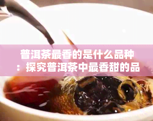 普洱茶最香的是什么品种：探究普洱茶中最香甜的品种