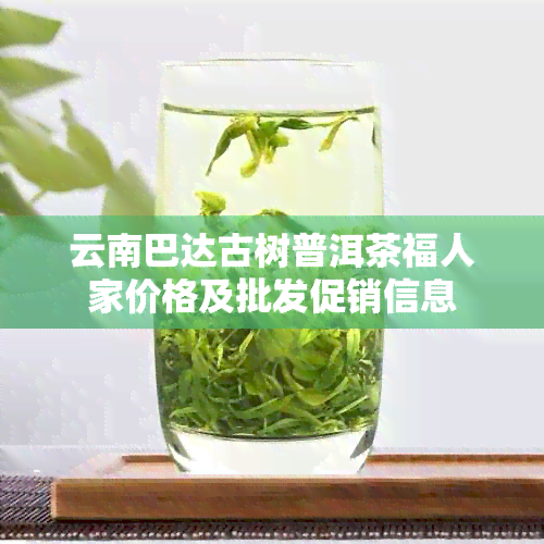 云南巴达古树普洱茶福人家价格及批发促销信息