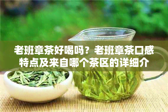 老班章茶好喝吗？老班章茶口感特点及来自哪个茶区的详细介绍。