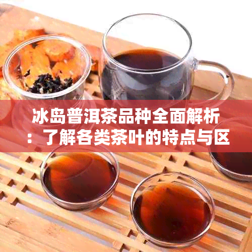 冰岛普洱茶品种全面解析：了解各类茶叶的特点与区别