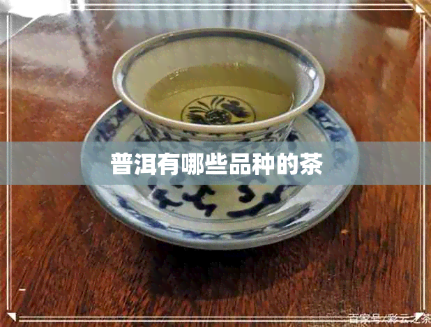 普洱有哪些品种的茶