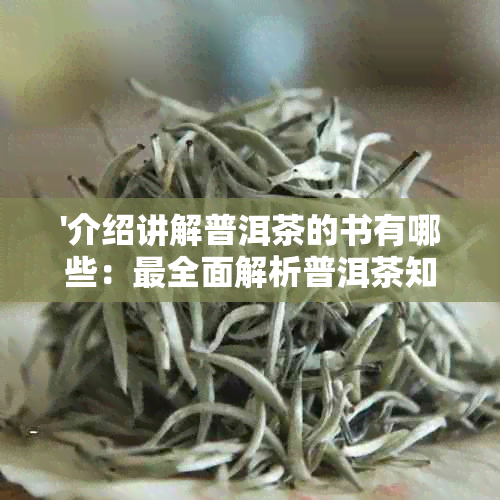 '介绍讲解普洱茶的书有哪些：最全面解析普洱茶知识与价值的书推荐'