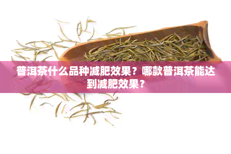 普洱茶什么品种减肥效果？哪款普洱茶能达到减肥效果？