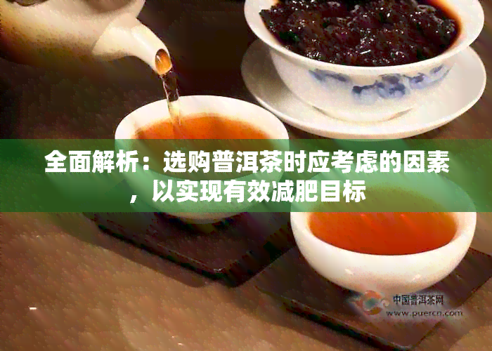 全面解析：选购普洱茶时应考虑的因素，以实现有效减肥目标