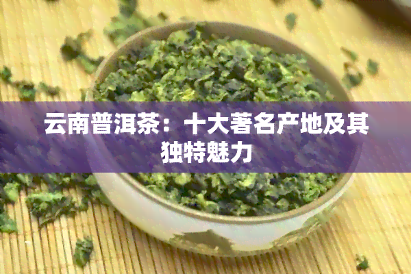 云南普洱茶：十大著名产地及其独特魅力