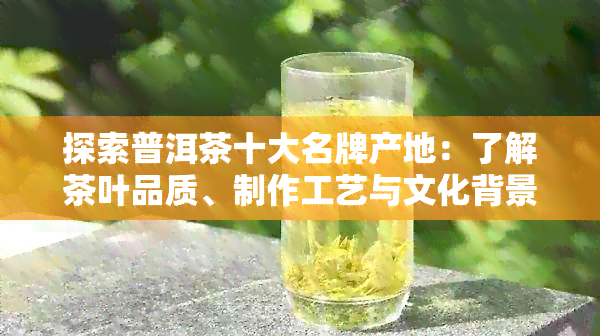 探索普洱茶十大名牌产地：了解茶叶品质、制作工艺与文化背景的全方位指南