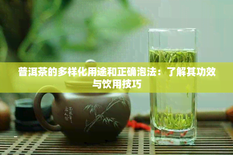 普洱茶的多样化用途和正确泡法：了解其功效与饮用技巧