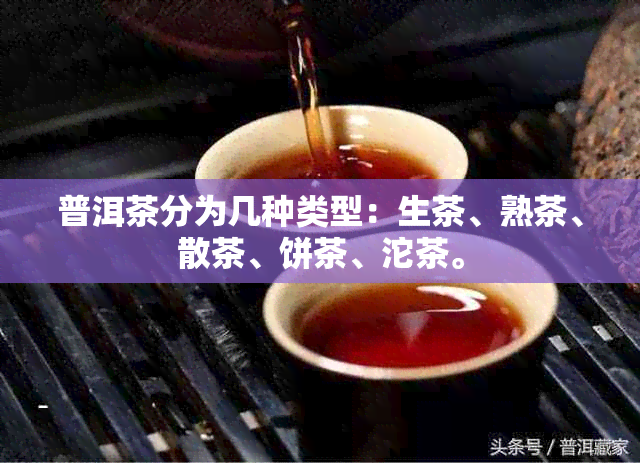 普洱茶分为几种类型：生茶、熟茶、散茶、饼茶、沱茶。