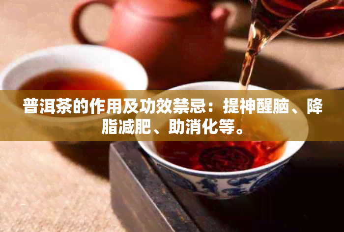 普洱茶的作用及功效禁忌：提神醒脑、降脂减肥、助消化等。