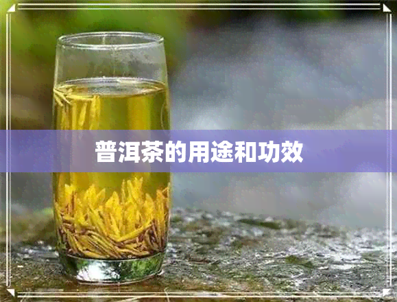 普洱茶的用途和功效