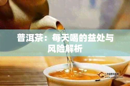 普洱茶：每天喝的益处与风险解析