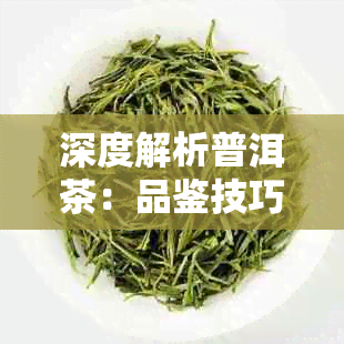 深度解析普洱茶：品鉴技巧与个人体验