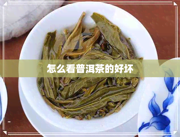 怎么看普洱茶的好坏