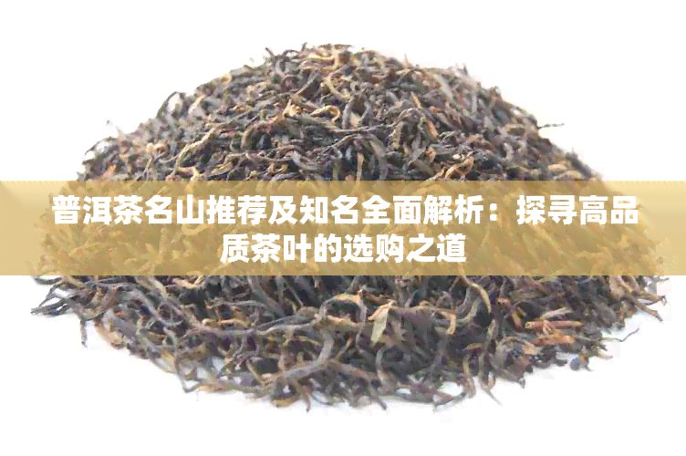 普洱茶名山推荐及知名全面解析：探寻高品质茶叶的选购之道