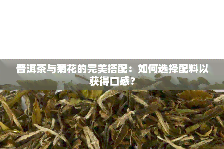 普洱茶与菊花的完美搭配：如何选择配料以获得口感？